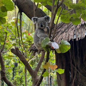 Meet your Posher, Li